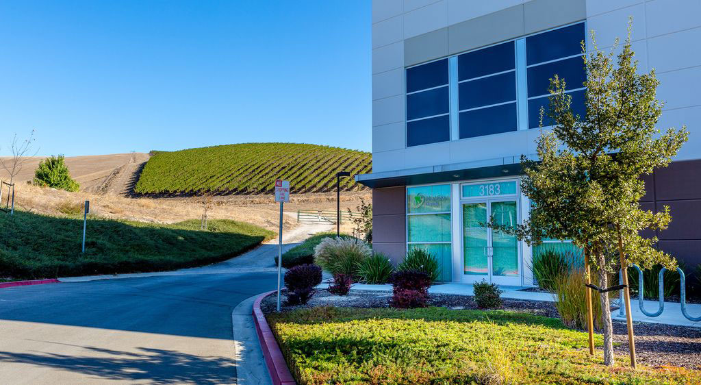 A building with a glass front next to a street sign, set against a backdrop of a vineyard and a clear sky.